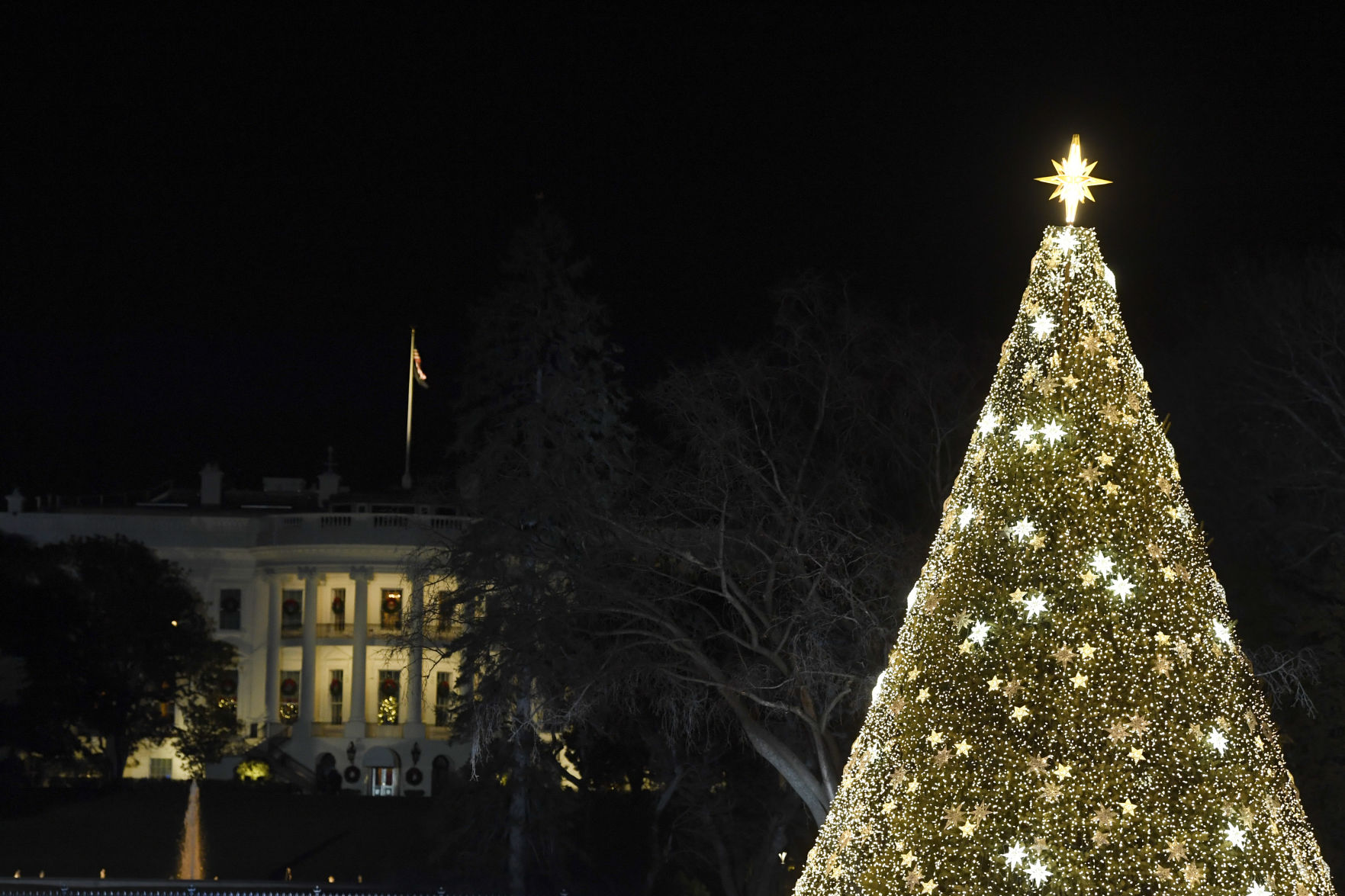 Trump Christmas Tree